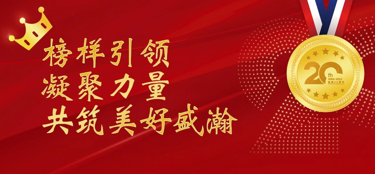 盛瀚之星 | 榜樣引領 凝聚力量，共筑美好盛瀚